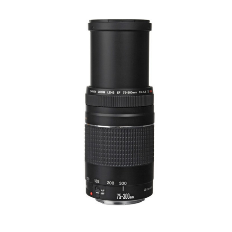 Canon EF 75-300mm f/4-5.6 III USM Lens2