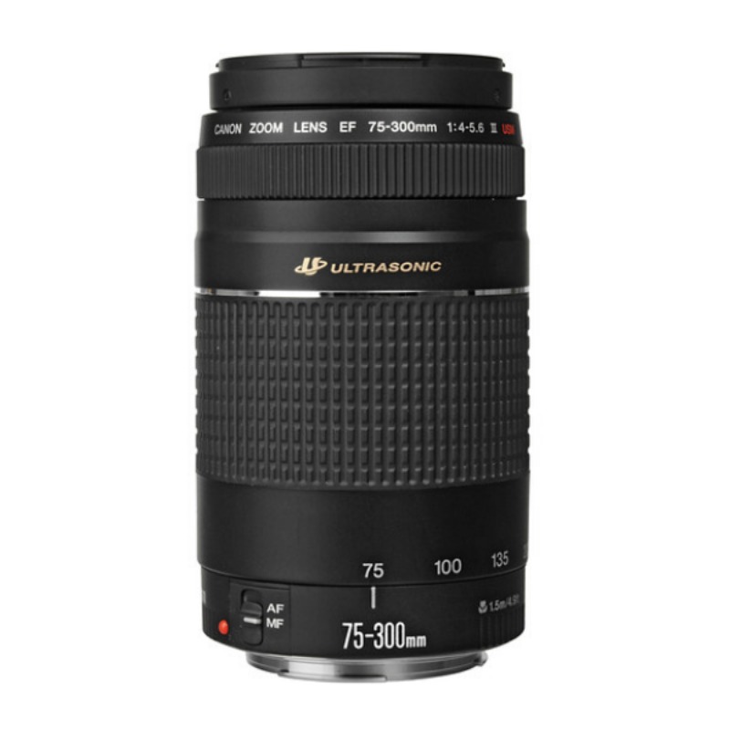 Canon EF 75-300mm f/4-5.6 III USM Lens3