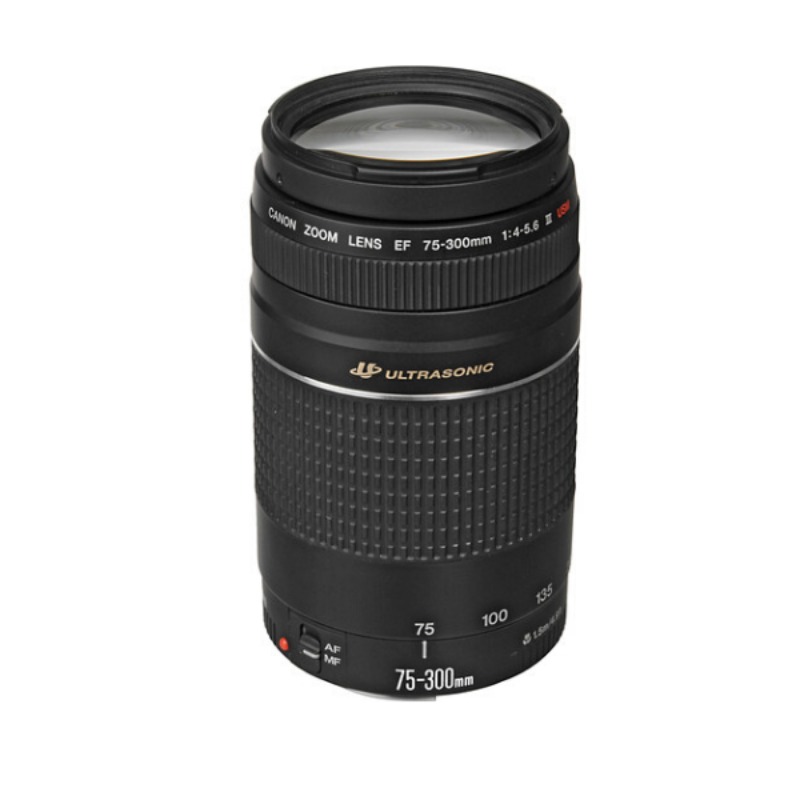 Canon EF 75-300mm f/4-5.6 III USM Lens4