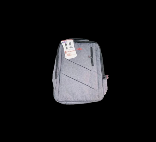 SMART 2 IN 1 CARRYCASE/BACKPACK -SM-96734