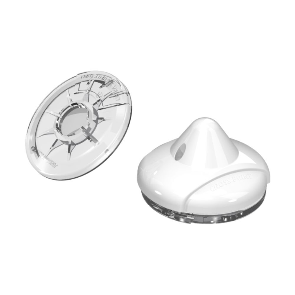 Cross Point Ostra & Shell D40