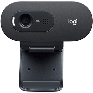 Logitech C505e Webcam - 960-001372