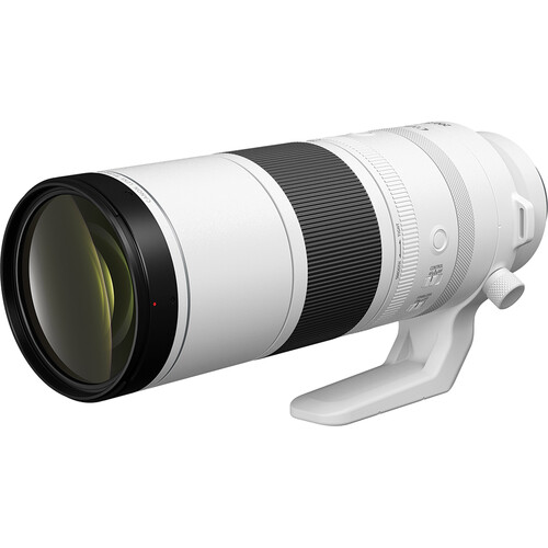 Canon RF 200-800mm f/6.3-9 IS USM Lens3